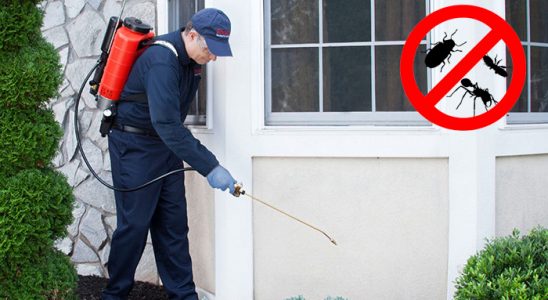 Elmalı Hamam Böceği İlaçlama böcek ilaçlama ve haşere kontrolü — ilaclama-tr.com